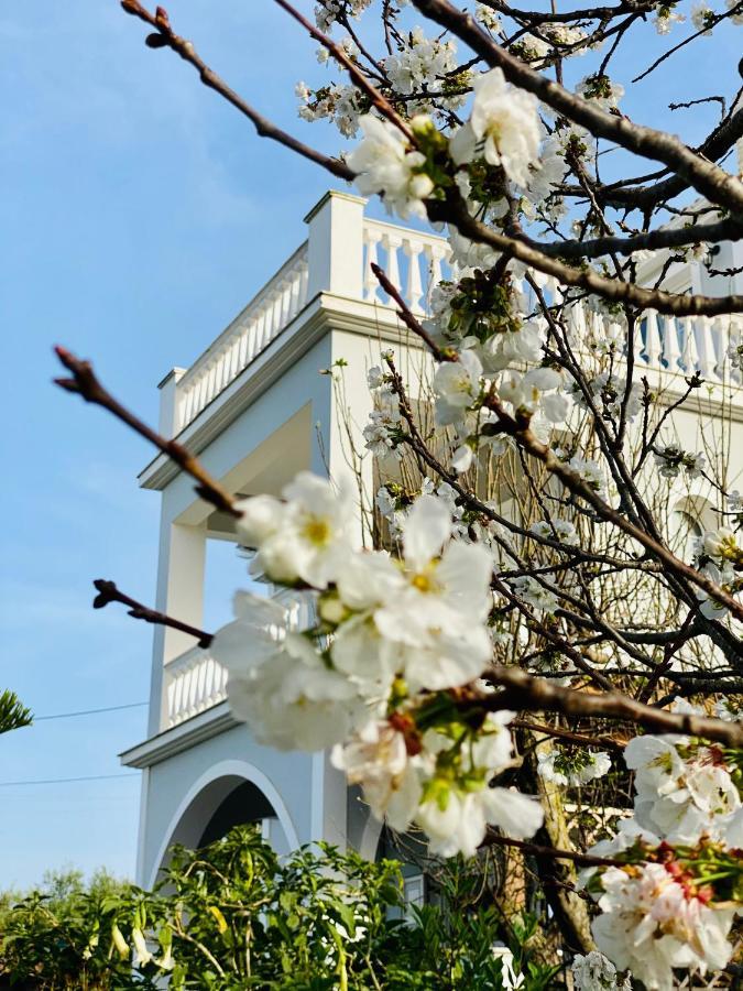 Theros Villa Planos  Ngoại thất bức ảnh
